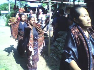 Para Istri Mosalaki menari Toja Pala Menerima Kedatangan Mosalaki Nuakota Ndona Yang Akan Memasuki Tubu Kanga